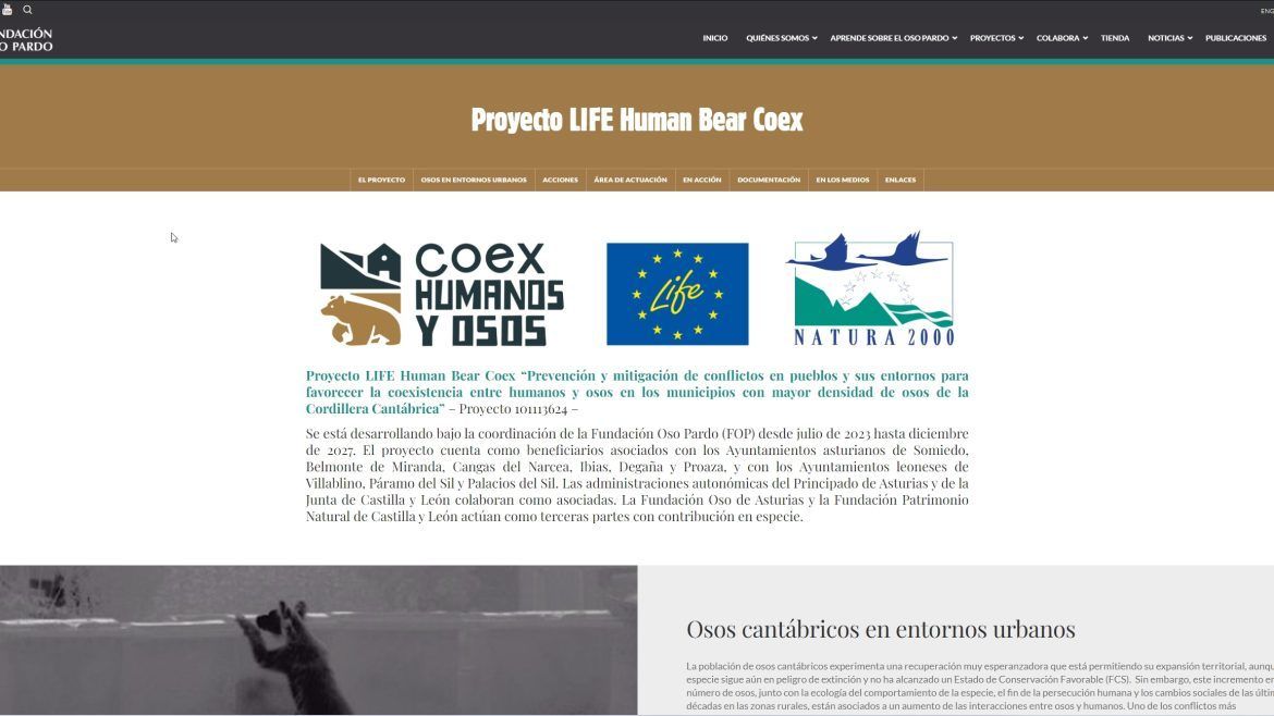 Pantallazo creación web Life en Acción