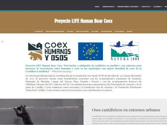 Pantallazo creación web Life en Acción