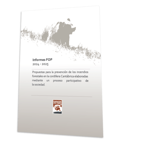 Portada Incendios
