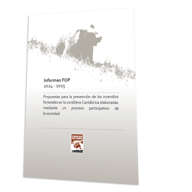Portada Incendios