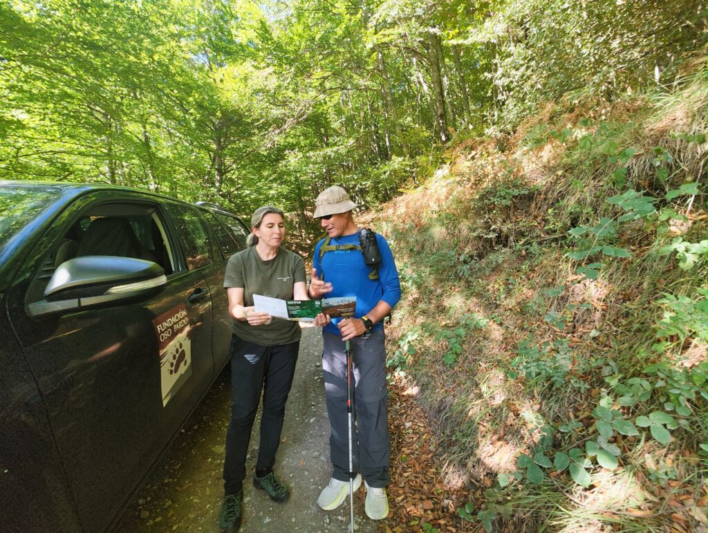 sensibilizacion sobre oso pardo visitantes picos de europa