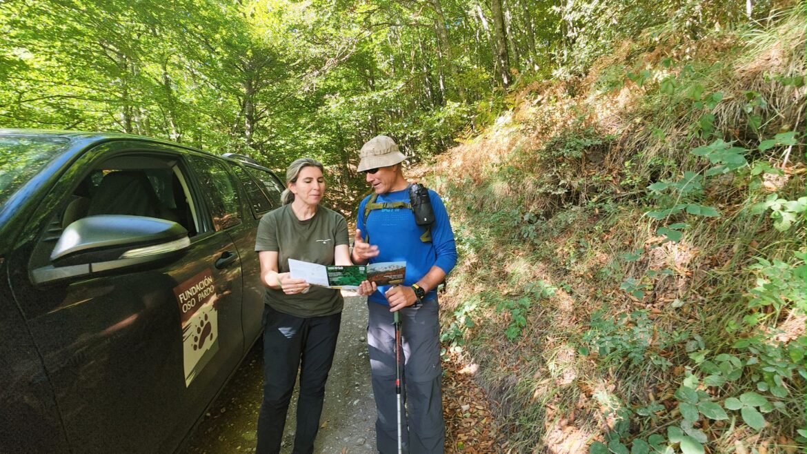 sensibilizacion sobre oso pardo visitantes picos de europa