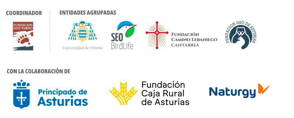 entidades participantes y