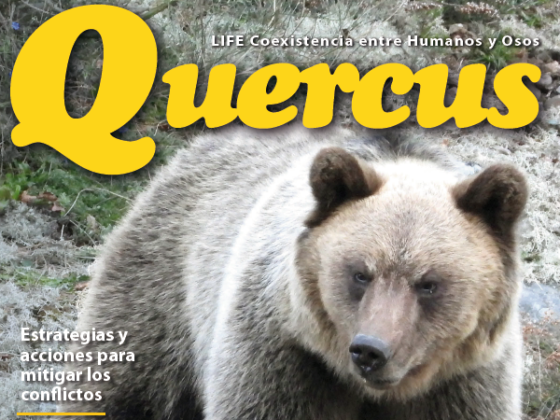 Quercus LIFE coexistencia entre humanos y osos