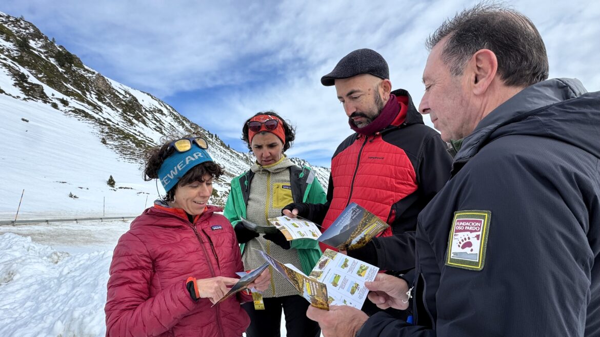sensibilizacion sobre oso pardo visitantes picos de europa