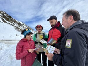 sensibilizacion sobre oso pardo visitantes picos de europa